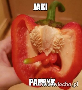 W moim małym ogródeczku