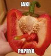 W moim małym ogródeczku