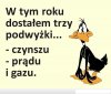 Problemy PiSowskiego elektoratu ...