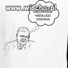 Niezawisłość sądów  w/g pis
