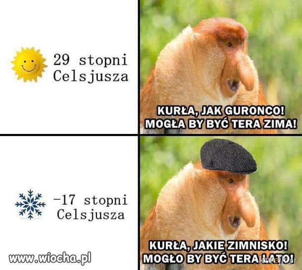 Tak to jest...