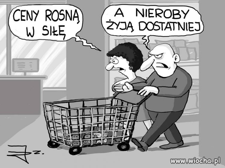 Tak to sobie pis wymyślił