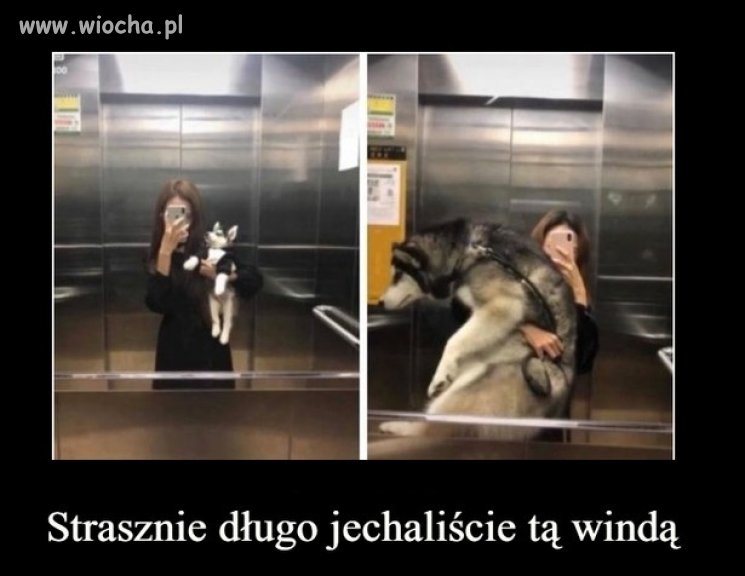 W windzie