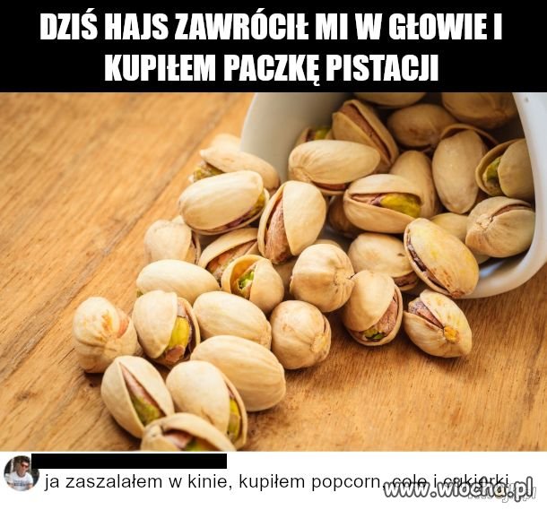 Hajs zawrócił mi w głowie