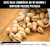 Hajs zawrócił mi w głowie
