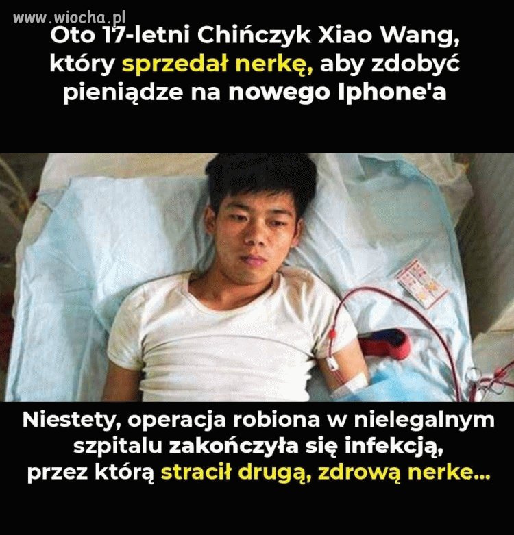 Selekcja naturalna
