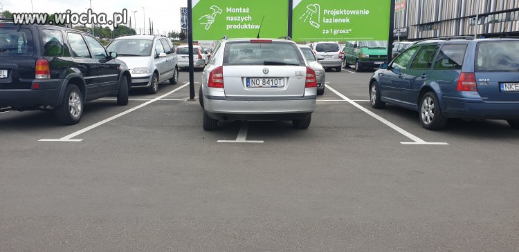 Miszcz