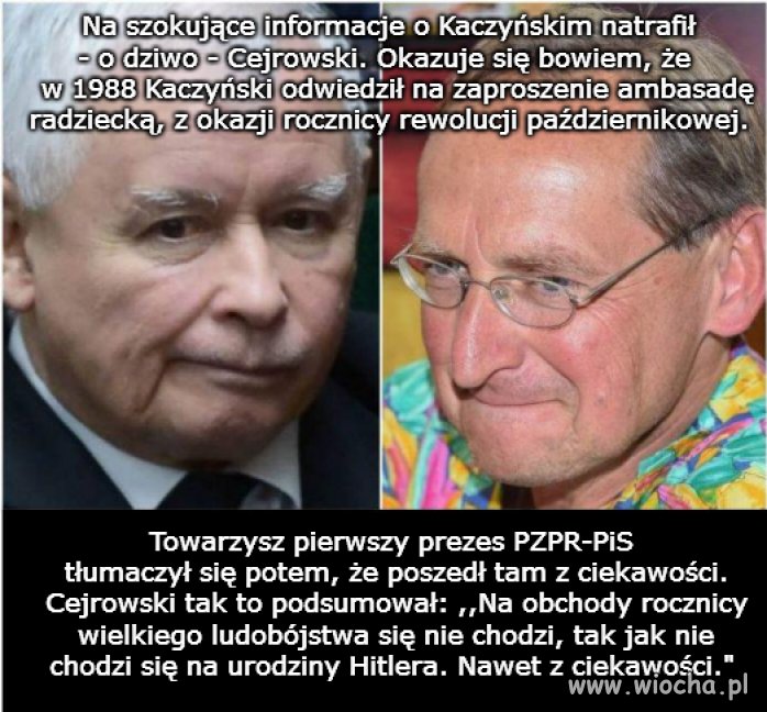 Ciągnie wilka (wylniałego) do lasu