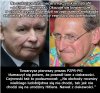 Ciągnie wilka (wylniałego) do lasu