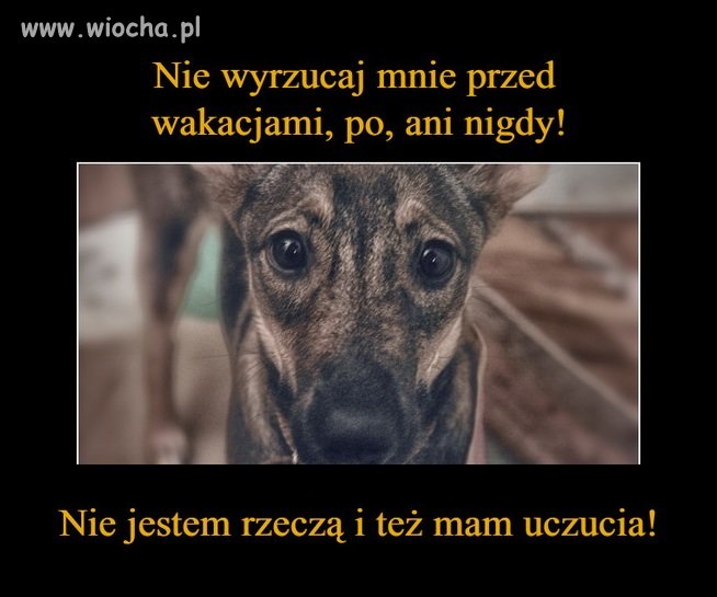 Zaczęły się wakacje