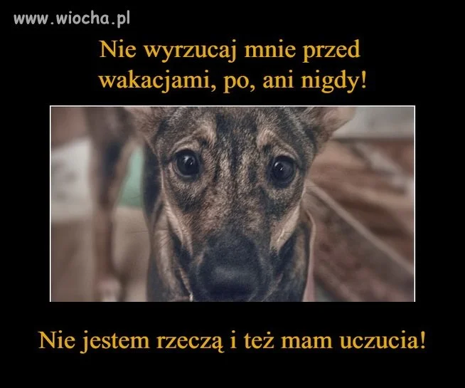 Zaczęły się wakacje