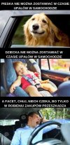 Tak to jest...