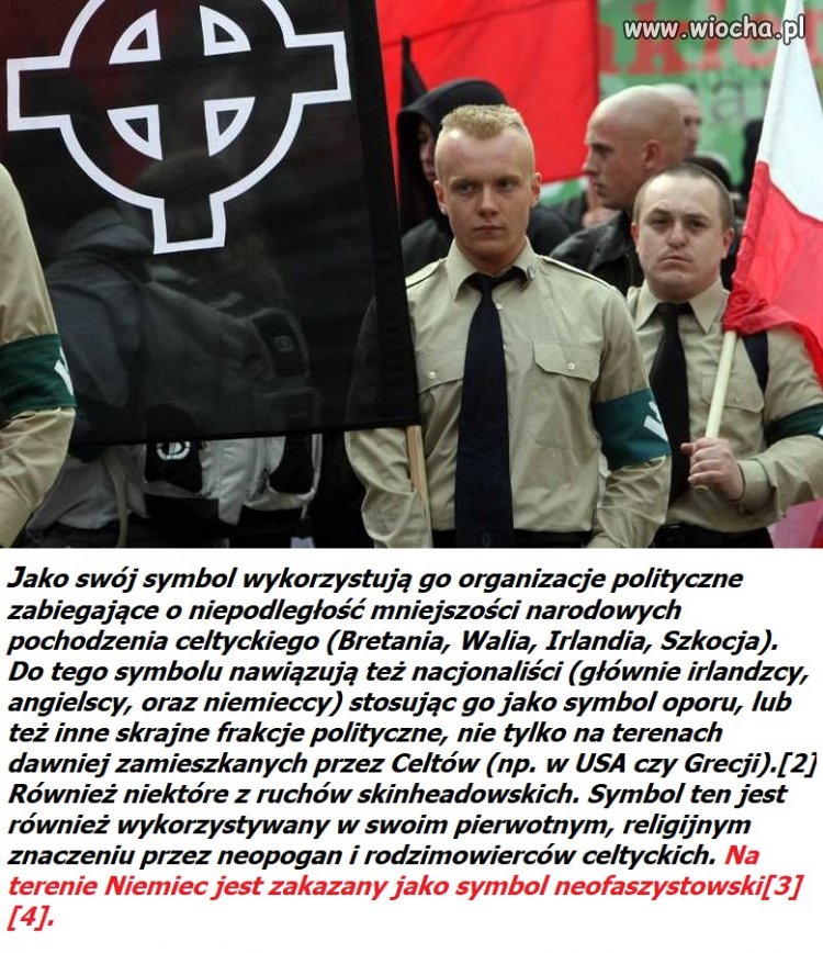 PIS buduje armię neofaszystów