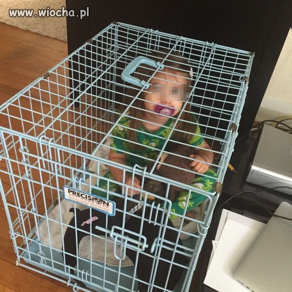 Bo teraz dzieci się hoduje a nie wychowuje