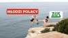 Nowy pomysł pis