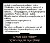 Magia reklam