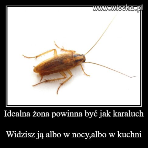 Co Wy na to?