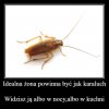 Co Wy na to?