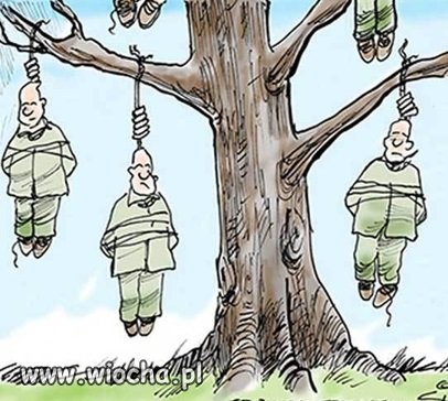 Drzewo genealogiczne