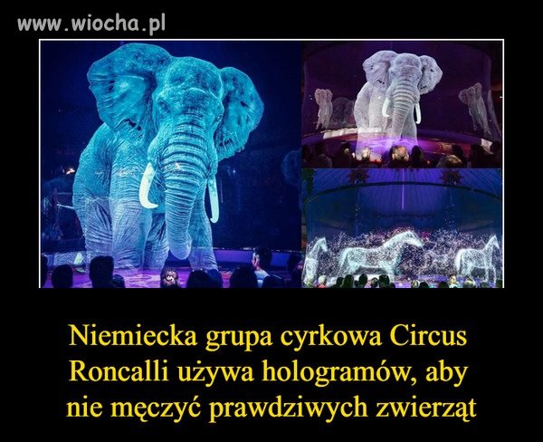 Brawo oni
