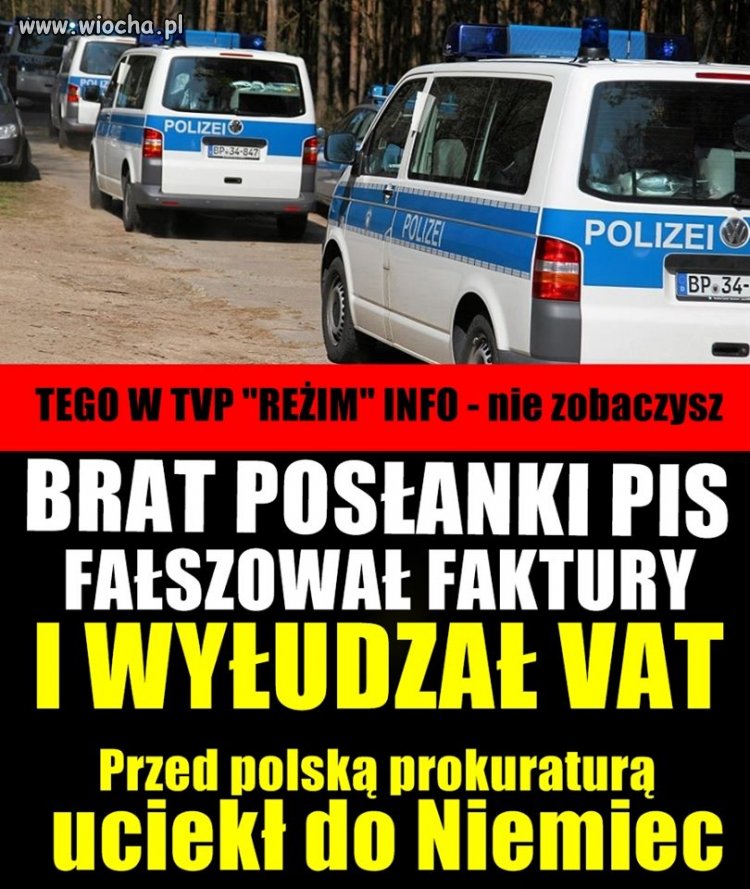 Nogi za pas