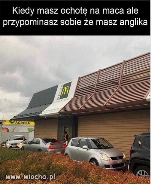 Mam anglika