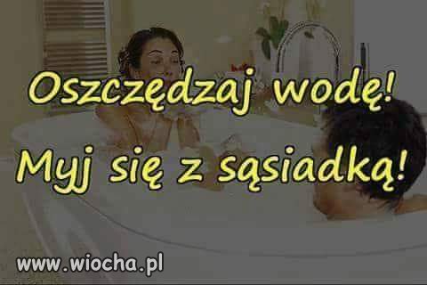 Z sieci