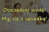 Z sieci