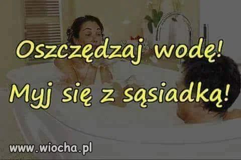Z sieci