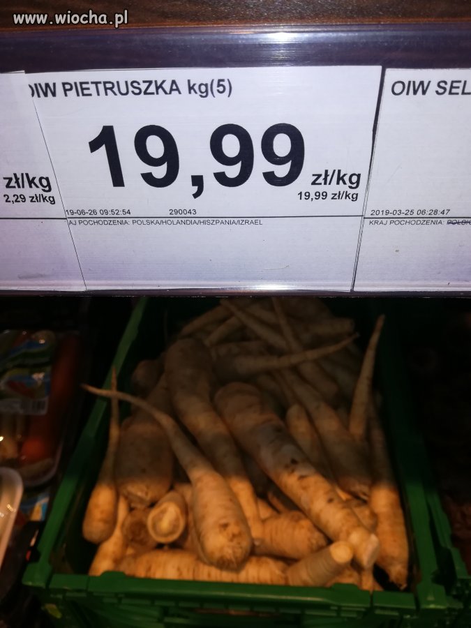 Wstajemy z kolan... 