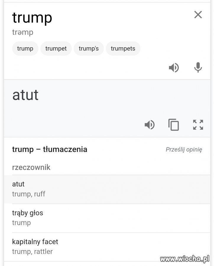 Donald Atut
