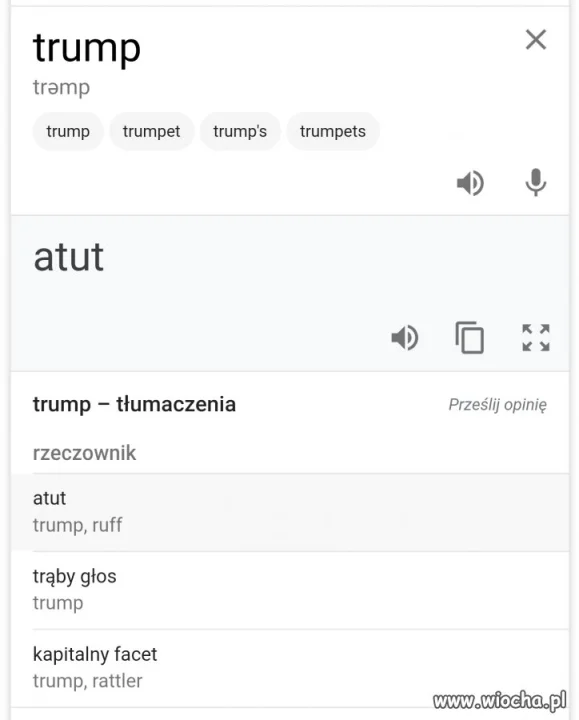 Donald Atut
