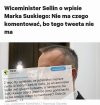 Pisowska logika