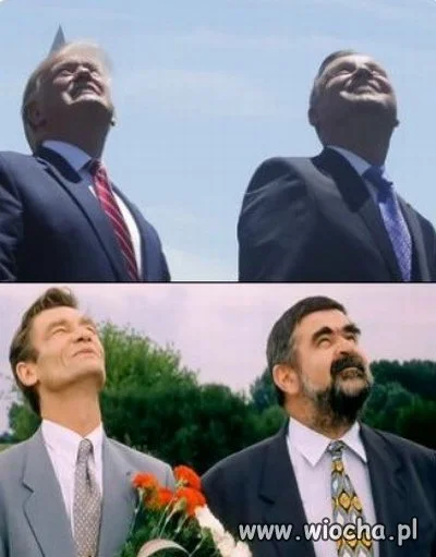 Zbyt podobne