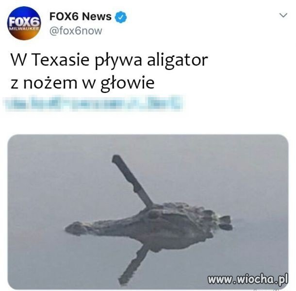 Oberwało mu się...