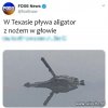 Oberwało mu się...