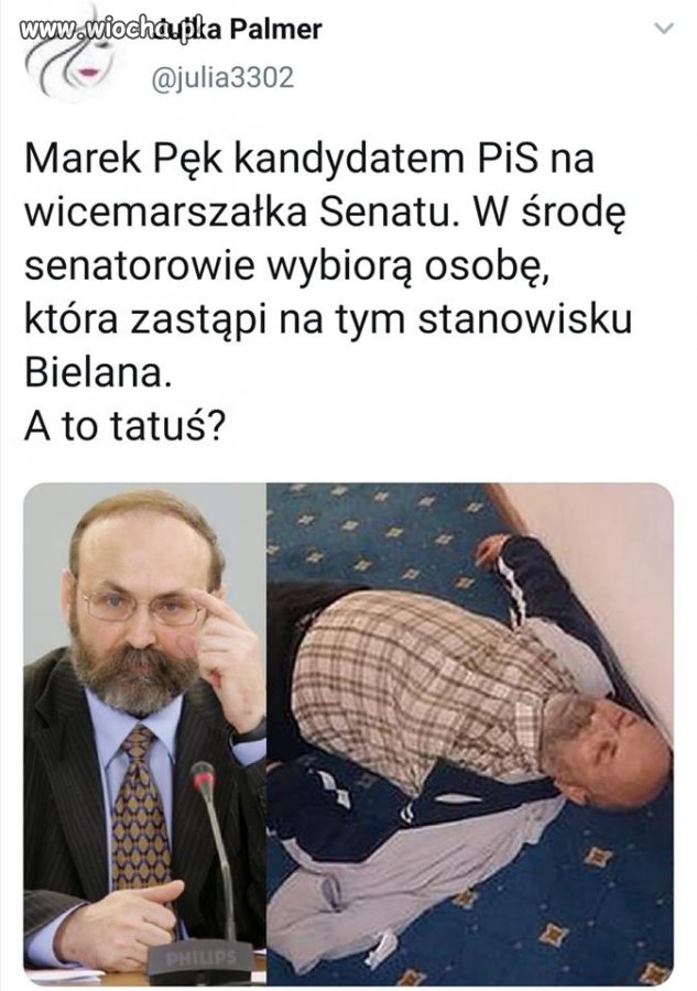 Tatuś