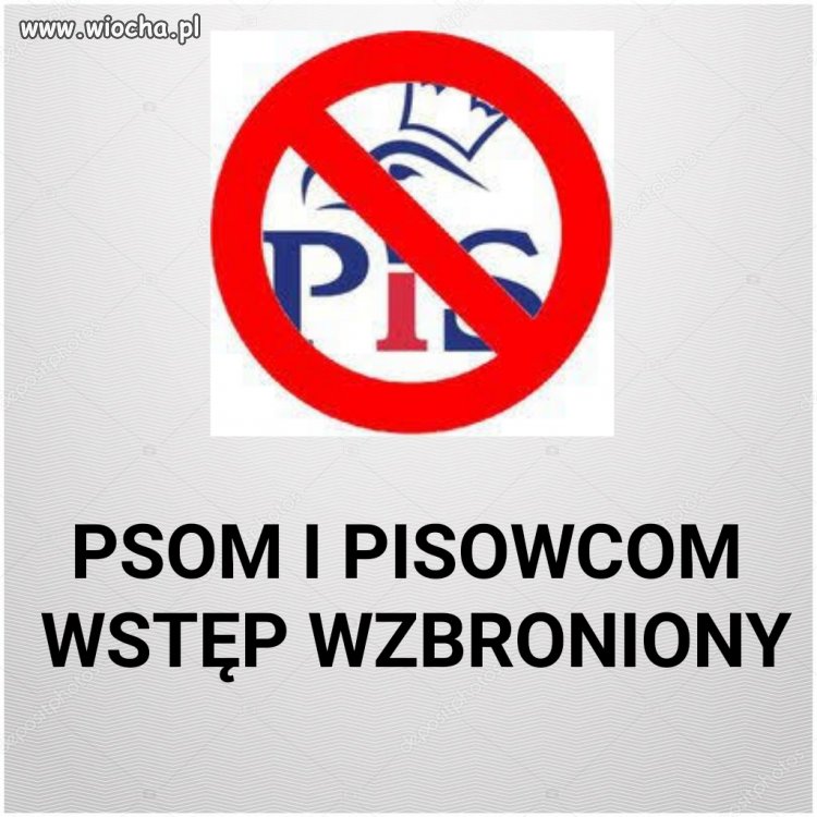 Wieszam, po wyroku na drukarza od plakatów LGBT