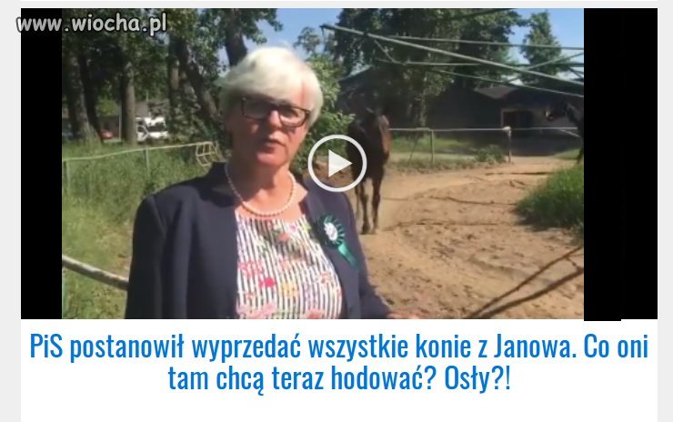 Jak to co? KOTY
