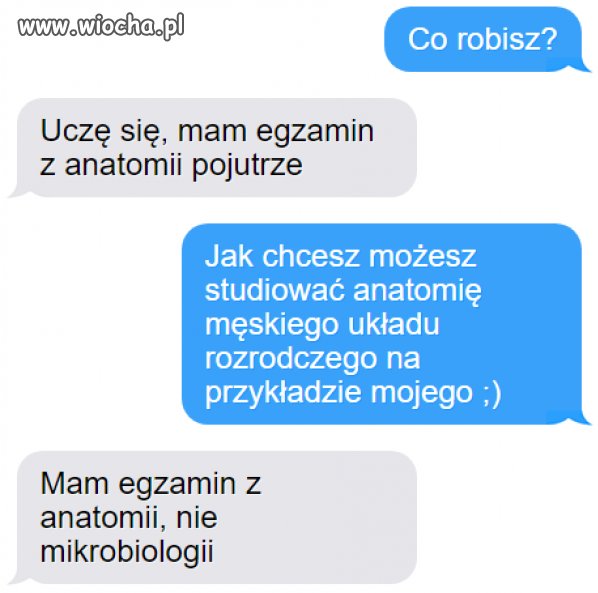 Riposta
