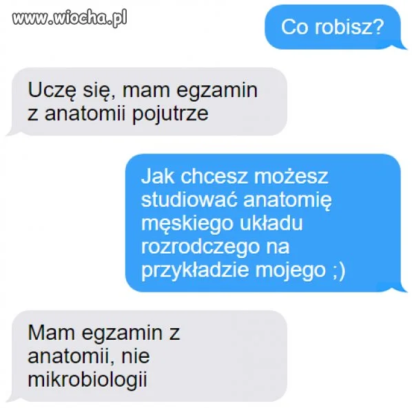 Riposta