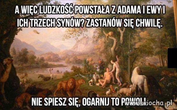 Ciekawe?