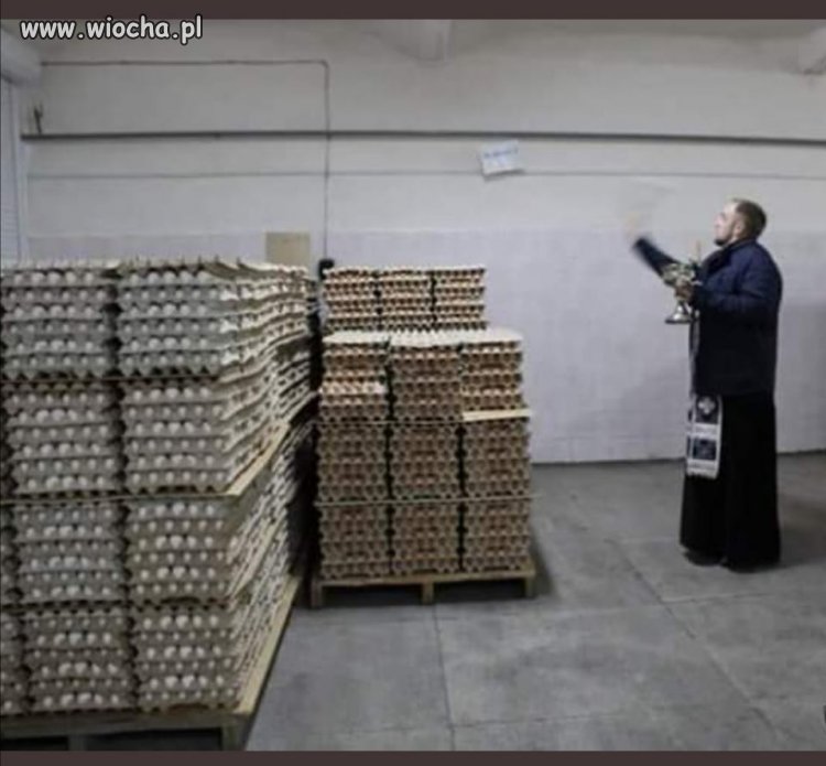 Wypędzanie salmonelli