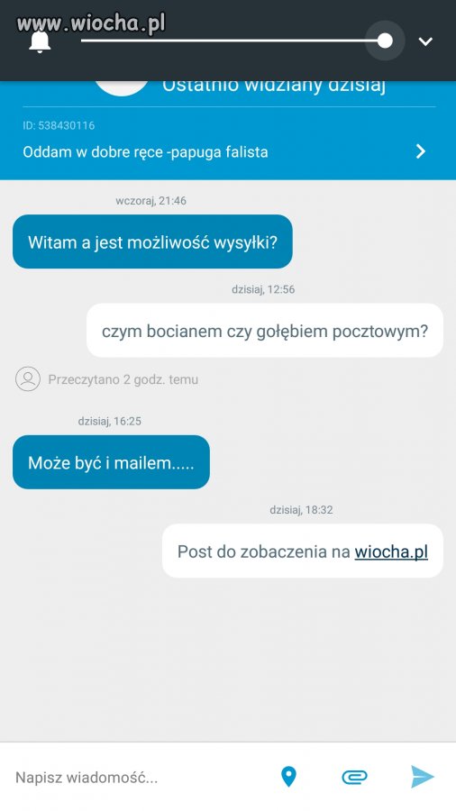 Oddam papugę-opis odbiór osobisty...