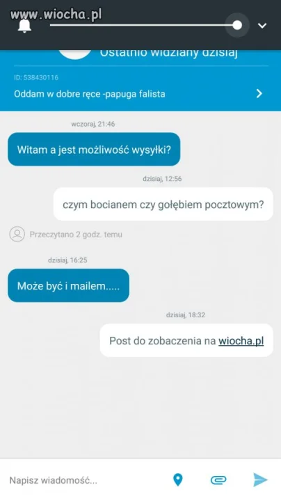 Oddam papugę-opis odbiór osobisty...