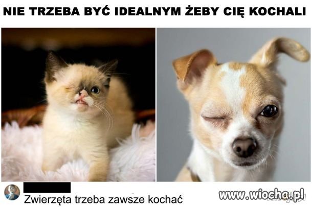 One odwdzięczą się tysiąckrotnie