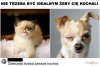 One odwdzięczą się tysiąckrotnie
