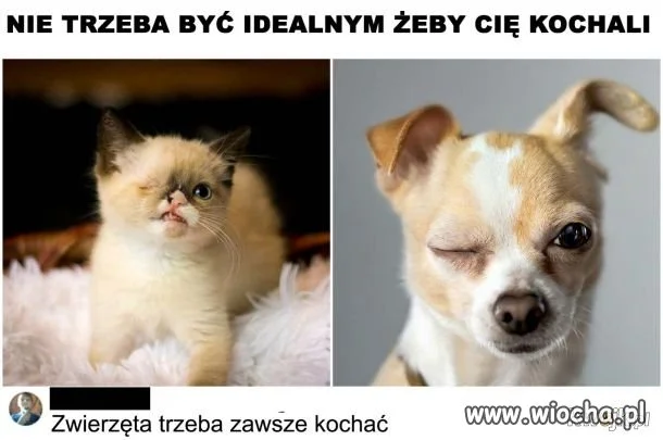 One odwdzięczą się tysiąckrotnie