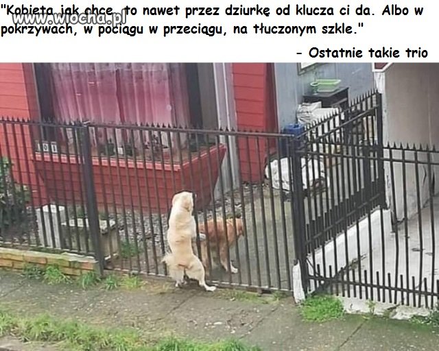 Co racja to racja