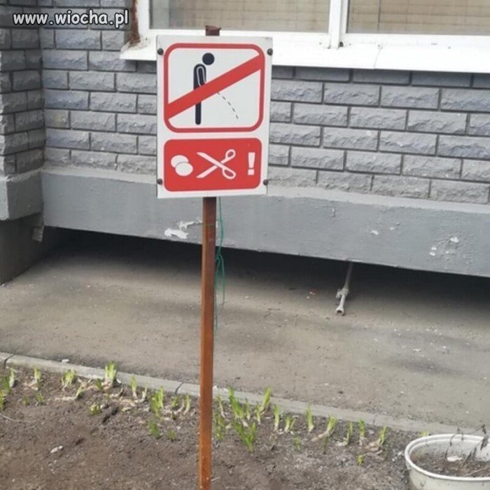 Nie ma zartów